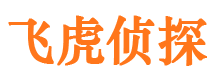 泸定外遇出轨调查取证